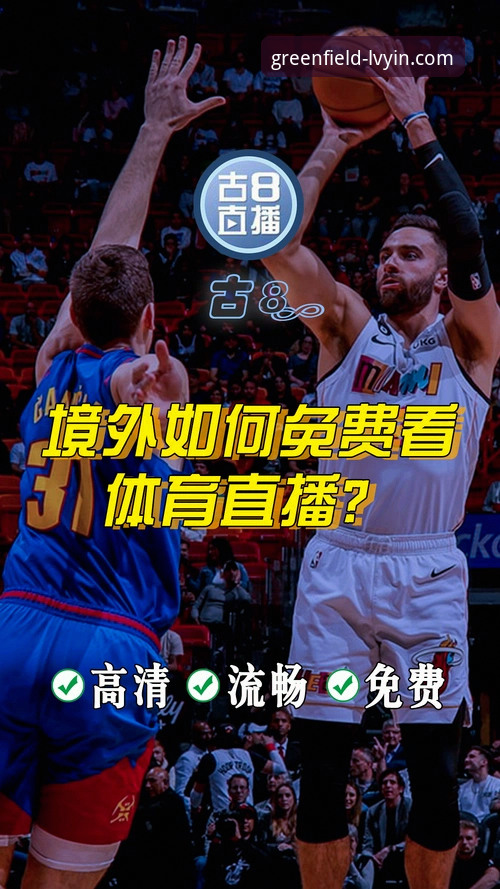绿茵体育移动端安卓版实用指南：从下载到观赛的完整操作手册